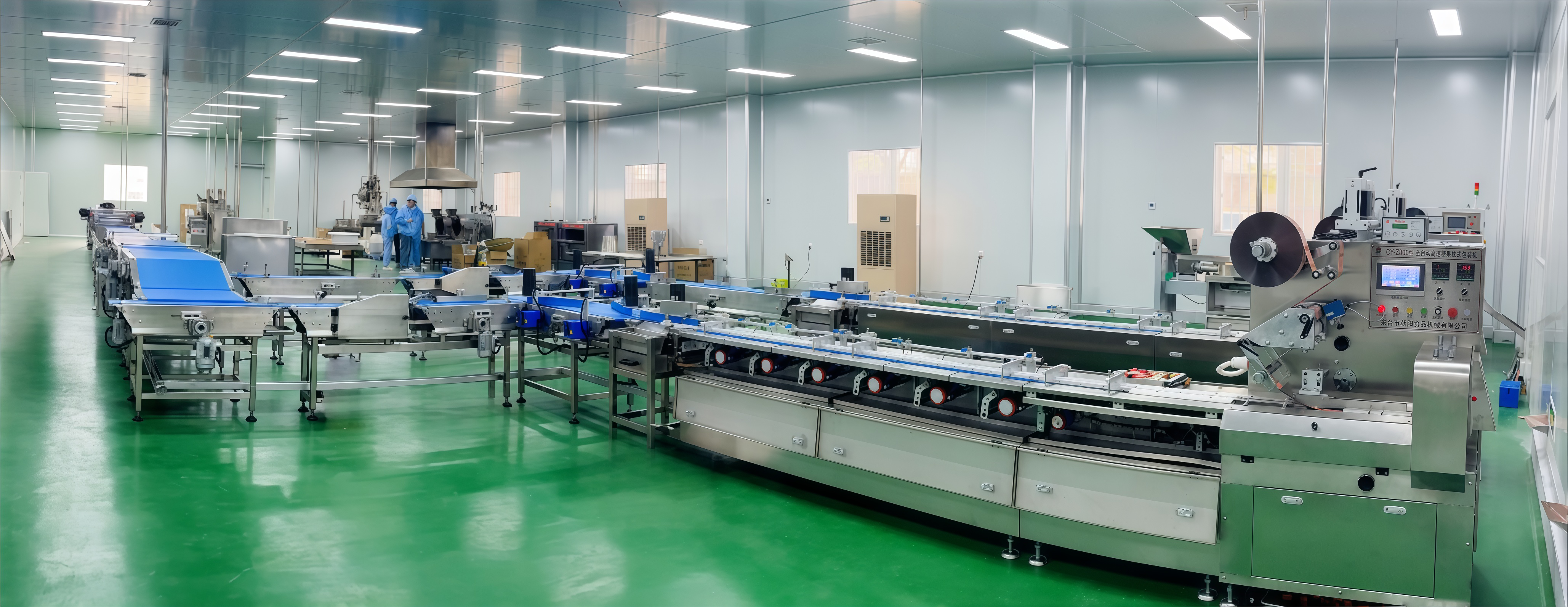 CYW-98 Automatische Zuführ- und Verpackungslinie