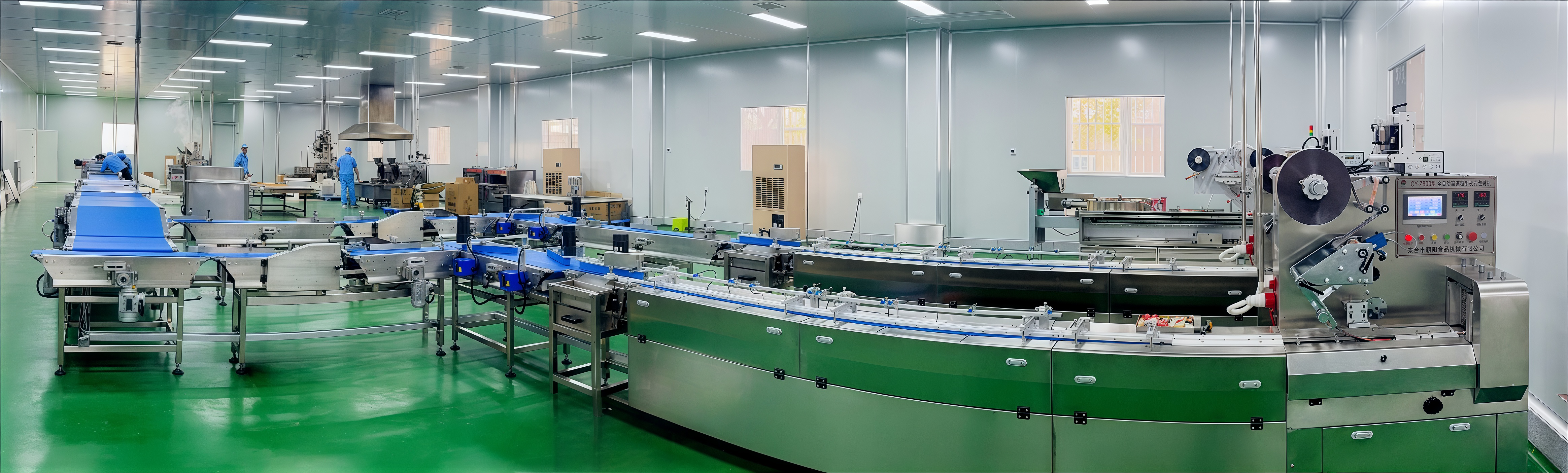 CYW-98 Automatische Zuführ- und Verpackungslinie